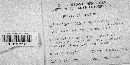 Trichaptum abietinum image