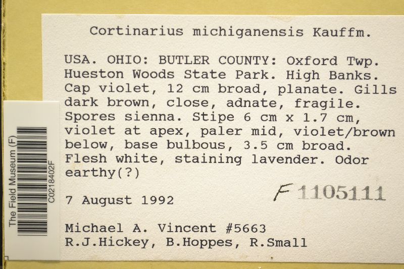 Cortinarius michiganensis image