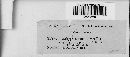 Diatrype stigma image