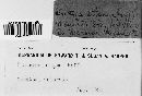 Diatrype stigma image