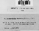 Diatrypella favacea image