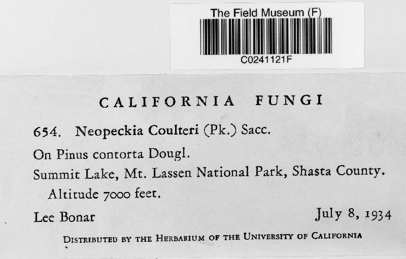 Neopeckia coulteri image