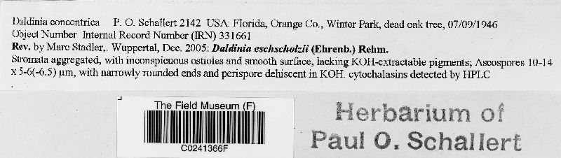Daldinia eschscholtzii image