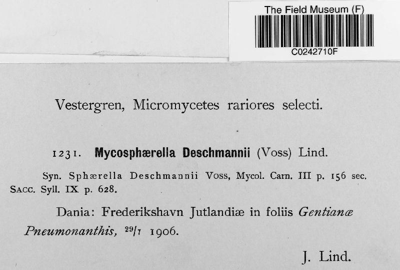 Mycosphaerella deschmannii image