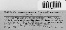 Mycosphaerella maculiformis image