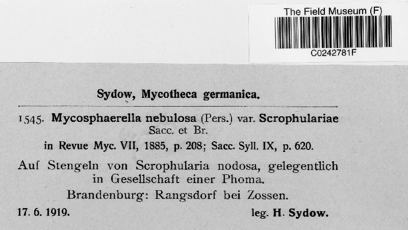 Mycosphaerella scrophulariae image