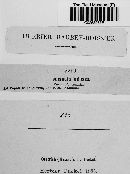 Erysiphe adunca var. adunca image