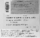 Hypomyces aurantius image