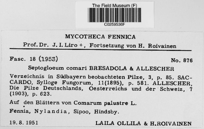 Septogloeum comari image