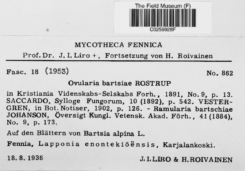 Ovularia bartsiae image