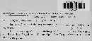 Botryodiplodia pandani image