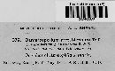 Amarenomyces ammophilae image