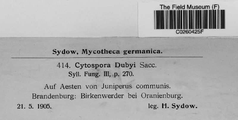 Cytospora dubyi image