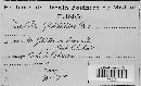Diplodia gleditschiae image