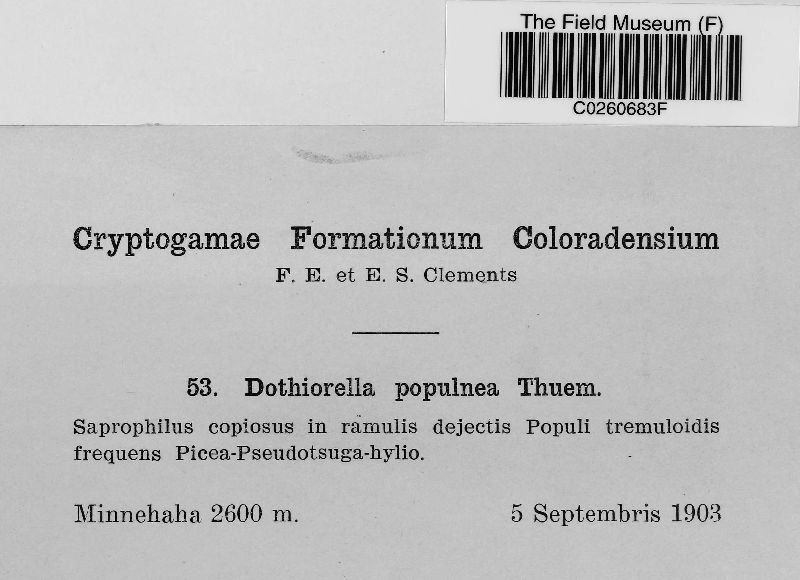 Dothiorella populnea image