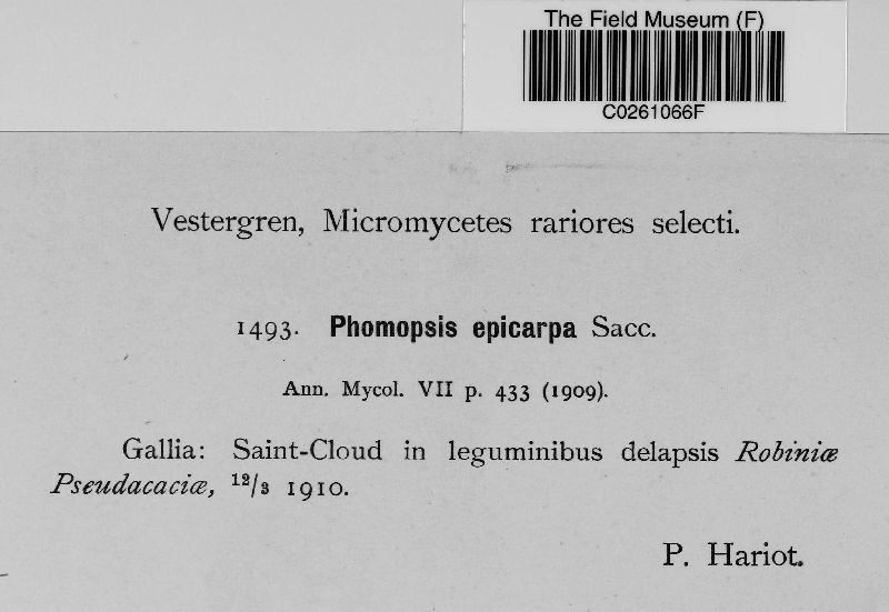 Phomopsis epicarpa image