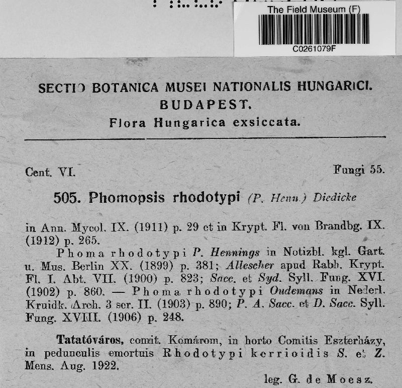 Phomopsis rhodotypi image