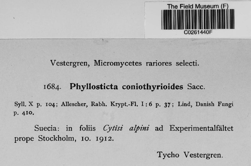 Phyllosticta coniothyrioides image