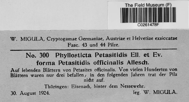 Phyllosticta petasitidis image