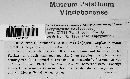 Phyllosticta polygonati image