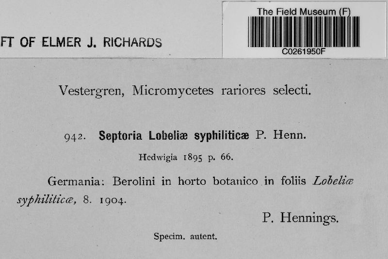 Septoria lobeliae-syphiliticae image