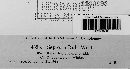 Mycosphaerella rubi image
