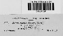 Diplocarpon rosae image