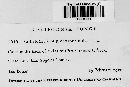 Glomerella cingulata image