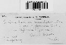 Diplocarpon mespili image
