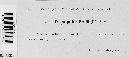 Diplocarpon mespili image