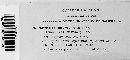 Nectria episphaeria image