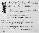 Meliola guareae image