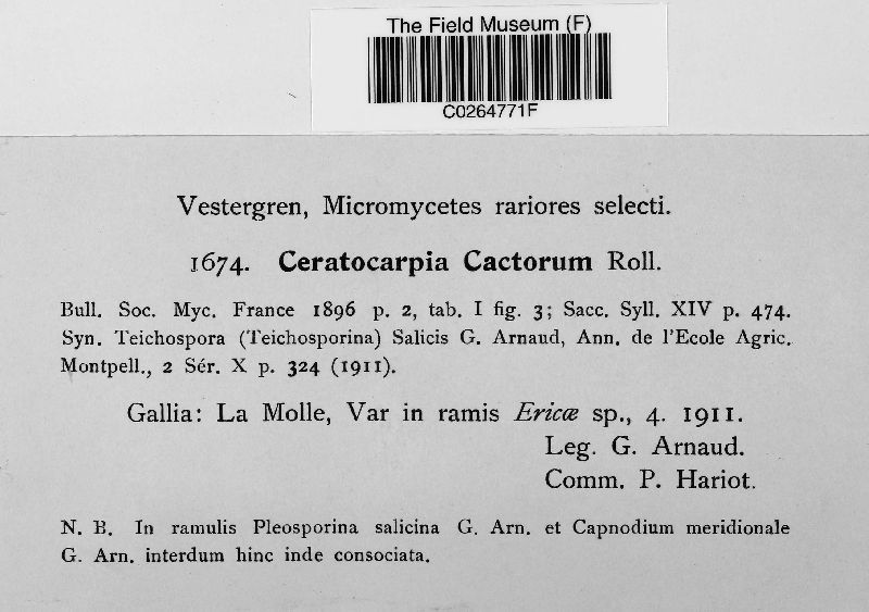 Ceratocarpia cactorum image