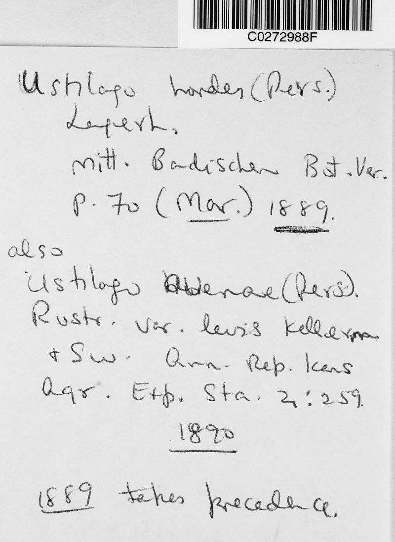 Ustilago avenae var. levis image
