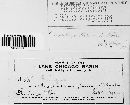 Ustilago crameri image