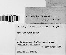 Ustilago utriculosa image