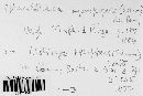 Sphacelotheca hydropiperis image