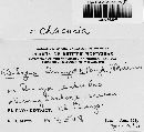 Chaconia ingae image