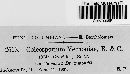 Coleosporium vernoniae image