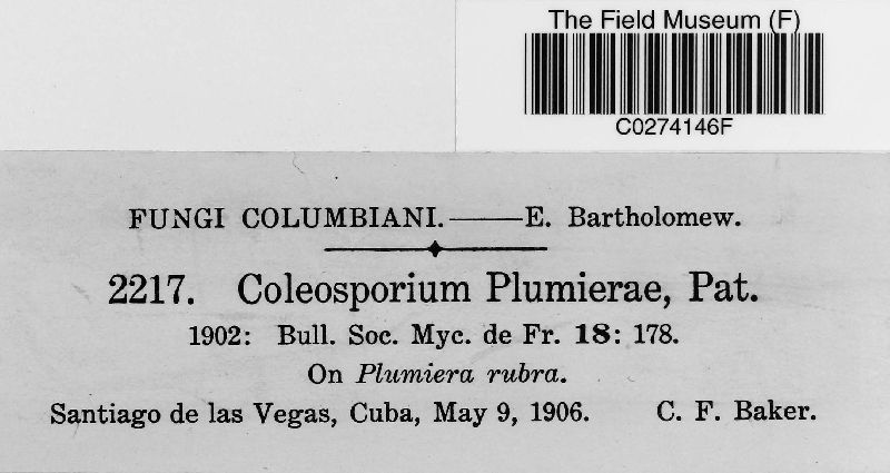 Coleosporium plumeriae image