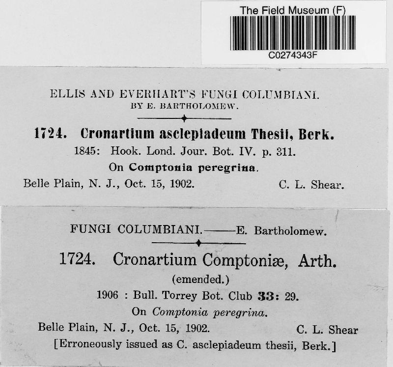 Cronartium comptoniae image