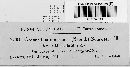 Cronartium quercuum image