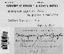 Melampsora populina image