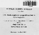Melampsora populina image