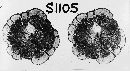 Cronartium quercuum image