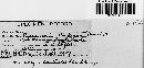 Arthuriomyces peckianus image