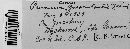 Puccinia caricis-grossulariae image