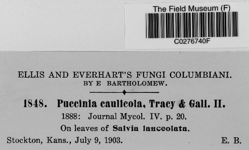 Puccinia caulicola image