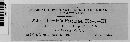 Puccinia festucae image