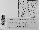 Puccinia flaccida image